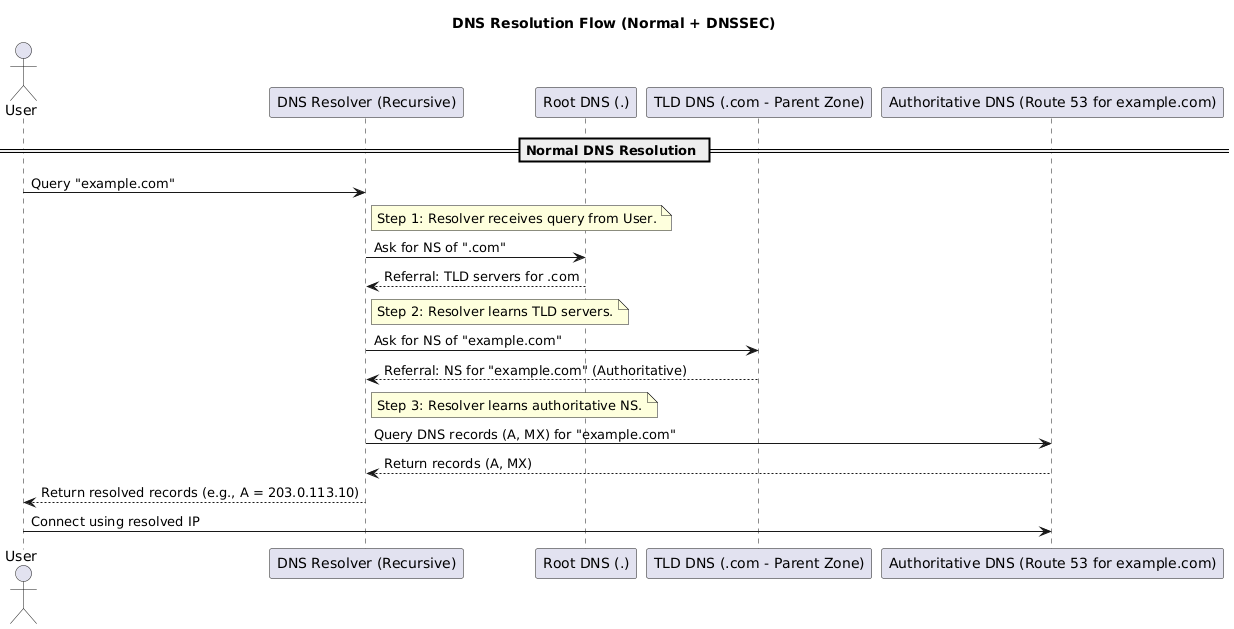 DNS Resolution Flow